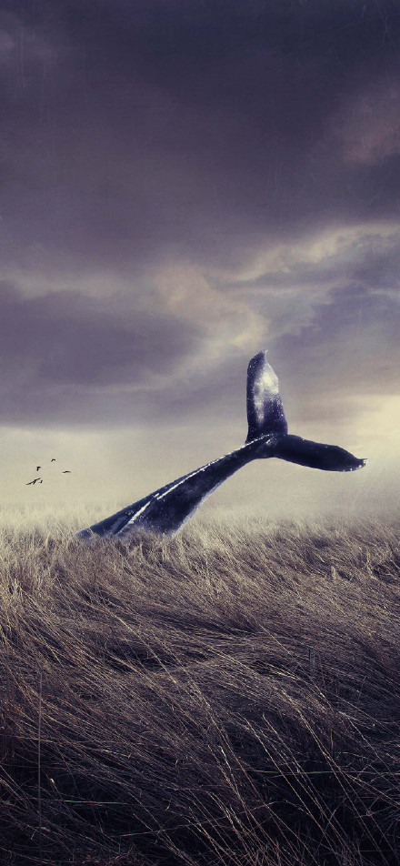 Whales in the Dead Grass