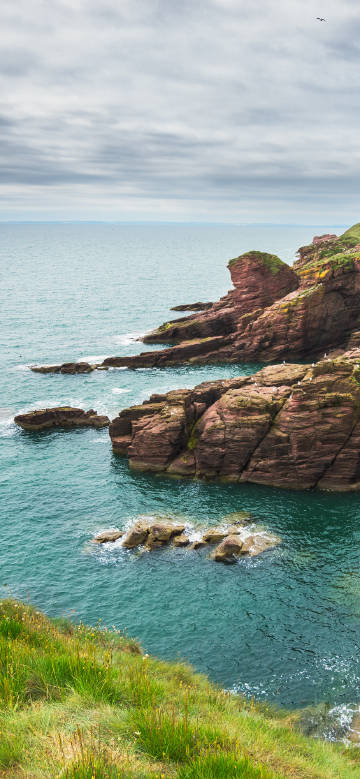 Reefs and Flying Bird by the Sea