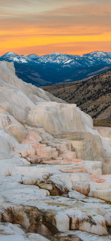 Calcified Wonders at Dusk