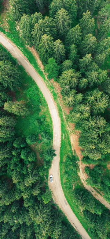 Overlooking cars driving on winding road in forest