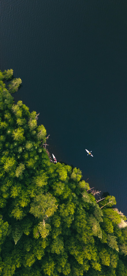 Overlooking the boats floating in the lake next to the forest