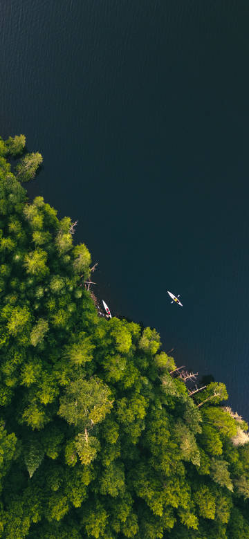Overlooking the boats floating in the lake next to the forest