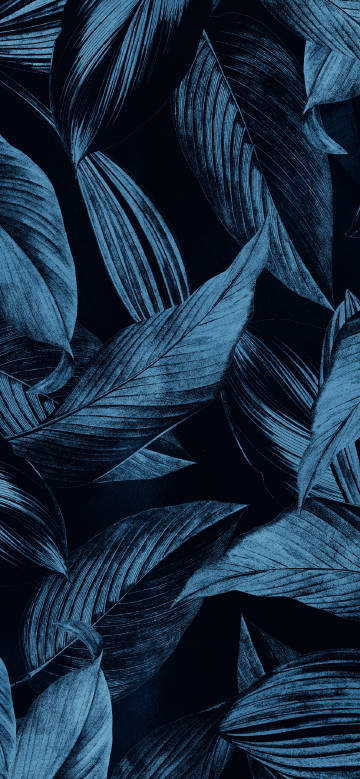 Blue leaf texture on mysterious black background