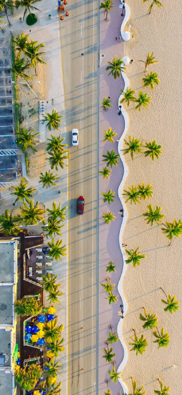 Overlooking the road with cars on the beach