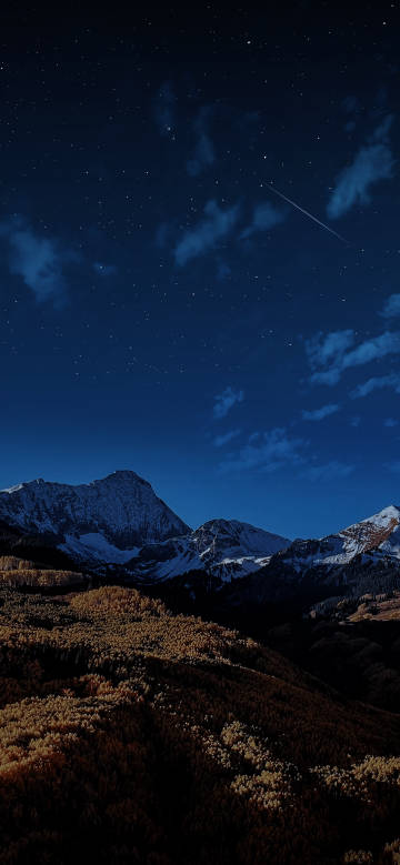 Night view of mountain forest with shining stars