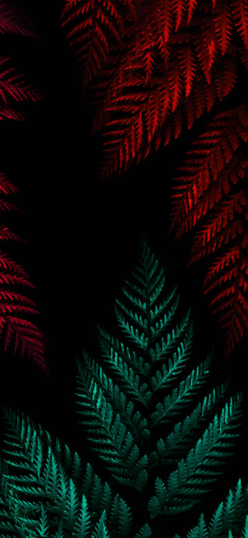 Red and Green Fern Leaves on Black Background