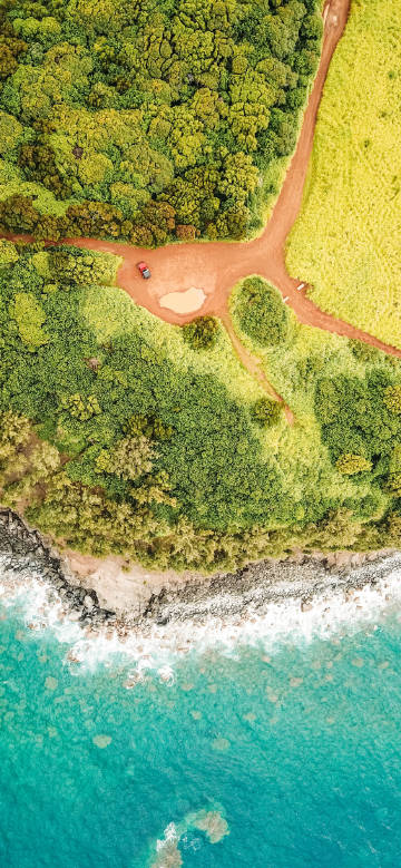Overlooking the seaside surrounded by green trees