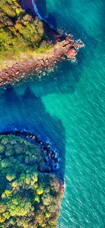 Overlooking the green sea