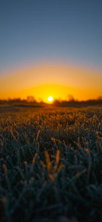 Warm sunrise above the frosty grass