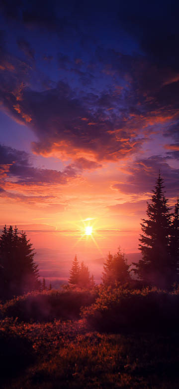 Gorgeous sunrise scene above the mountains and forests