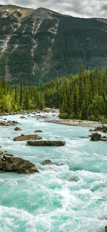 Green water and green mountains stream
