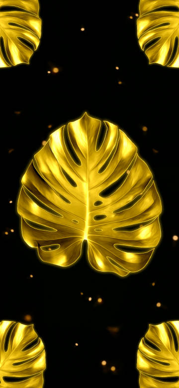 Golden monstera leaves on black background