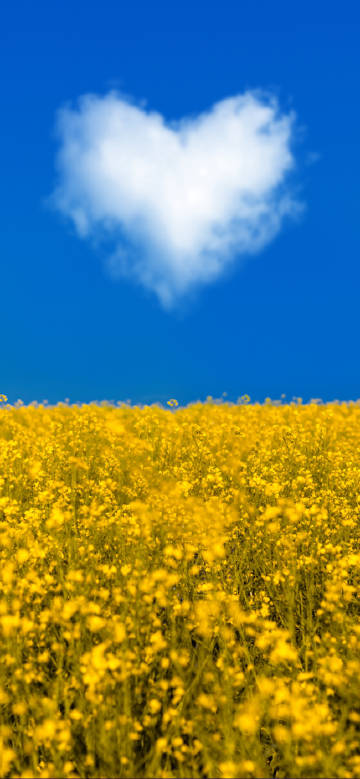 Yellow flowers and heart-shaped cloud against blue sky