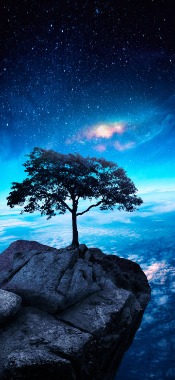 Lonely tree on cliff under starry sky