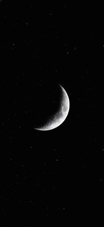 Crescent moon in the starry sky