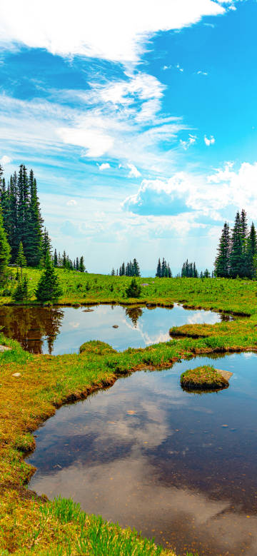 Green lake view under blue sky and white clouds