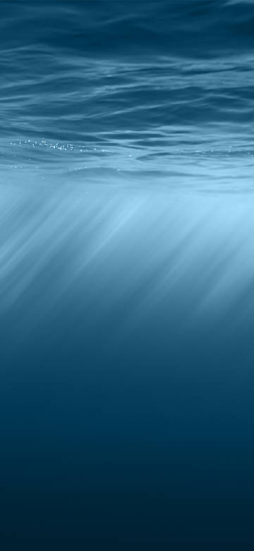 Brilliant Undersea World