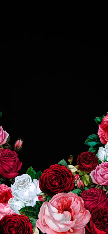Charm of roses on black background
