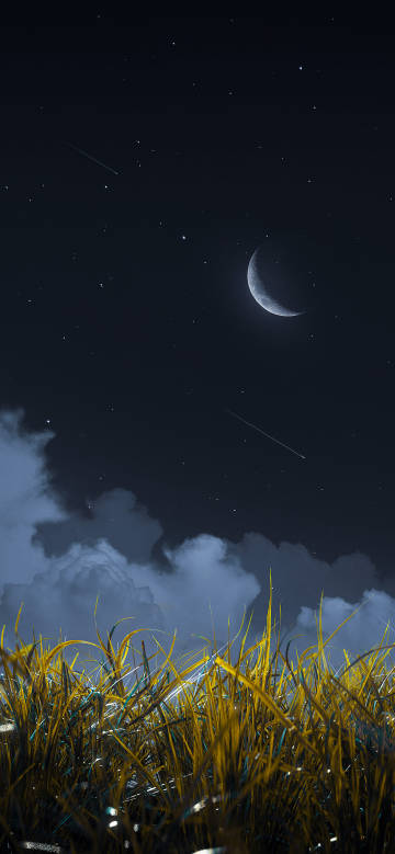 The golden grass glowing in the night