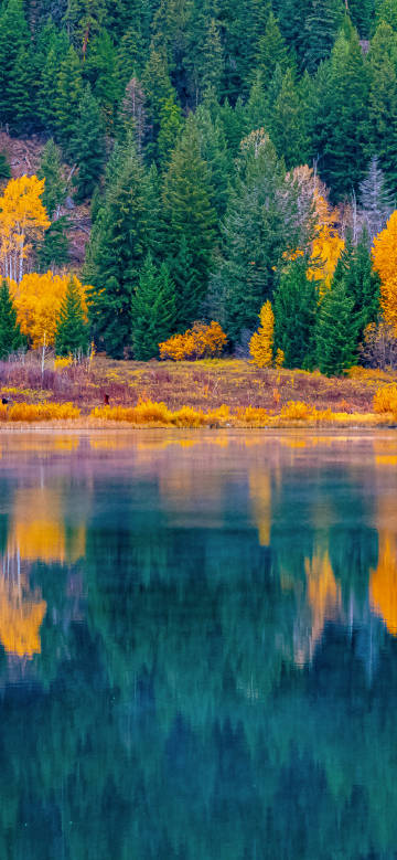Lake reflecting autumn forest