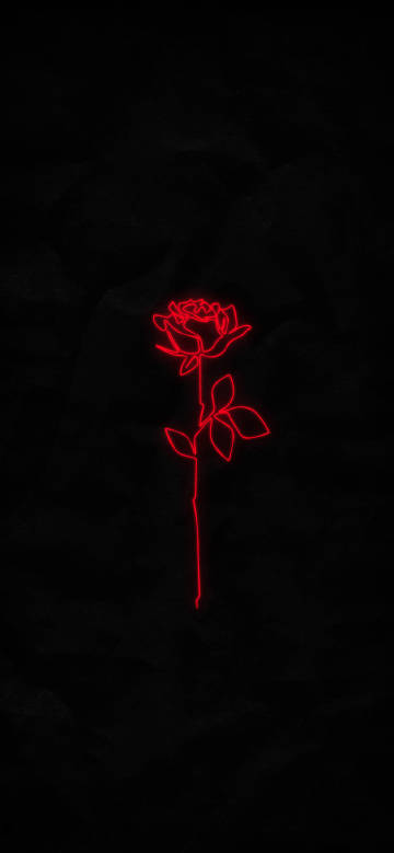 Rose outlined with red lines on a black background