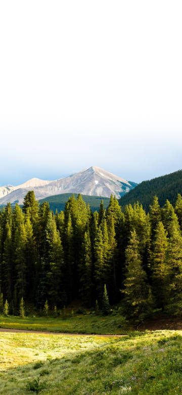 Greenery of mountains and forests