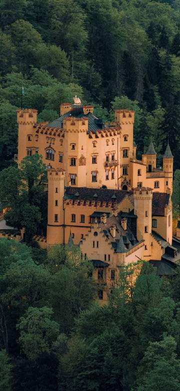 German High Swan Castle in the Forest