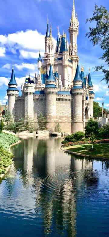 Dreamy Disney Castle