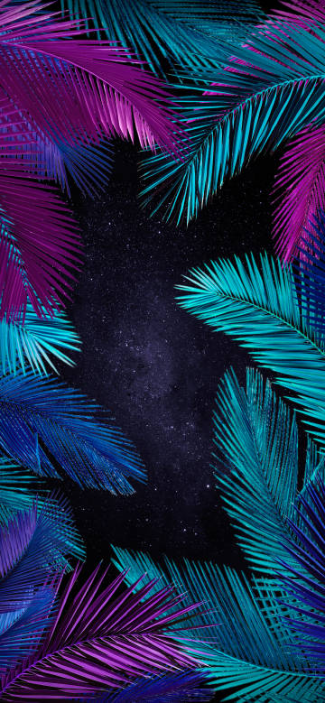 Palm fronds around a deep starry sky