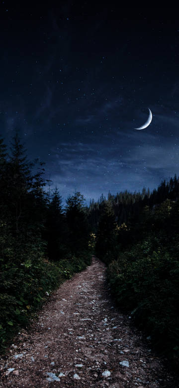 Path under the starry night sky