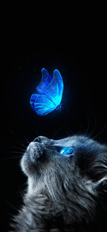 Cat looking up at a glowing blue butterfly