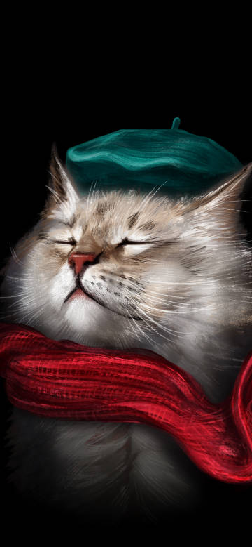 Cute cat with hat and scarf