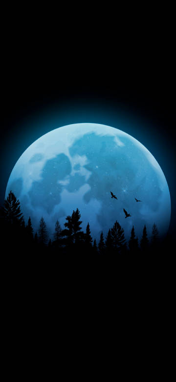 Birds Flying under the Moon