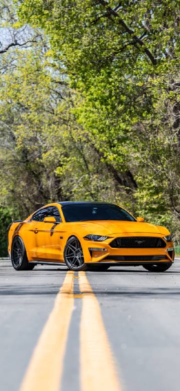 Yellow ford mustang on the road