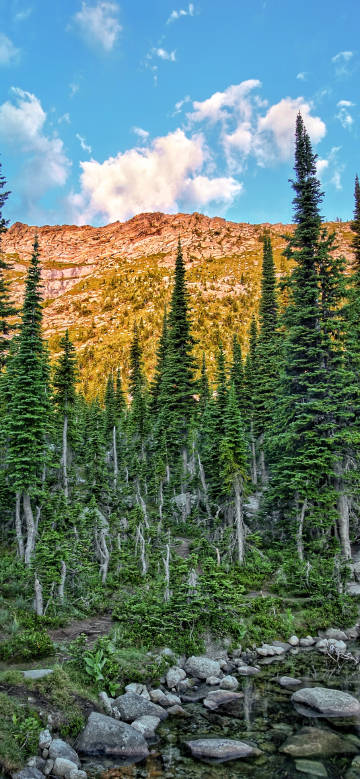 Beautiful scene of rocky creek