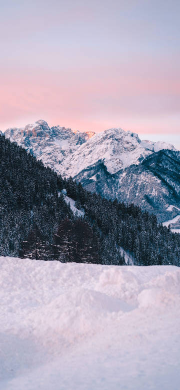 Snow mountains and forest in morning light