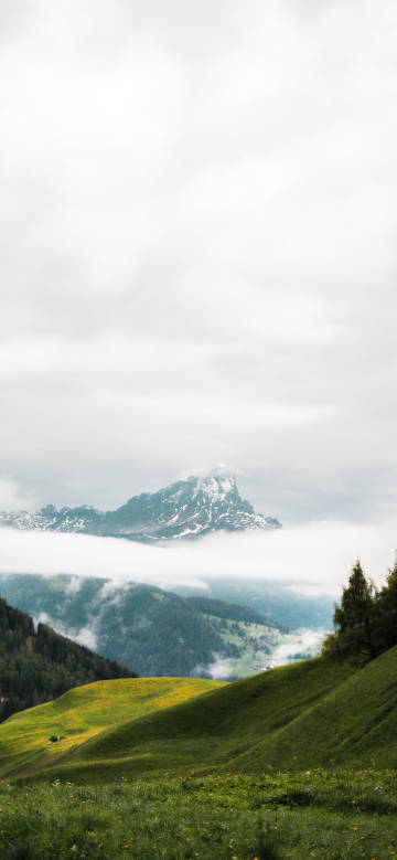 Green mountain fields enshrouded in clouds