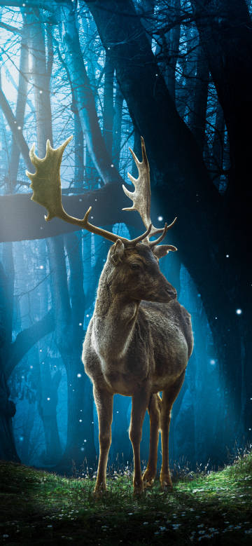 Deer in the forest of magic lights