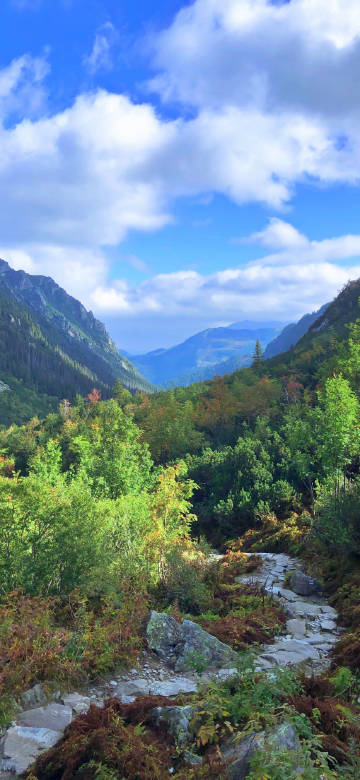 Natural beauty of the stone path in the mountains