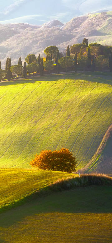 Beautiful view on green grassy hillside
