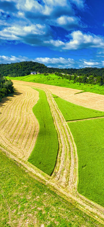 Rural fields from an aerial view