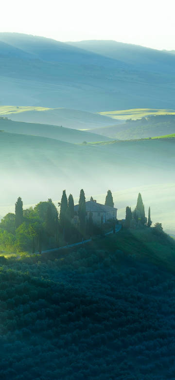 Poetic rural scenery shrouded in mist