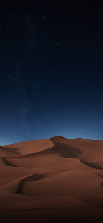 Breathtaking views of the desert under the stars