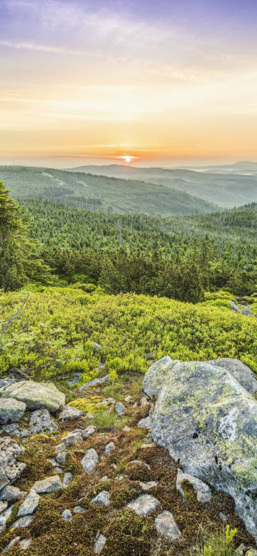 Magnificent picture of sunset in the mountains