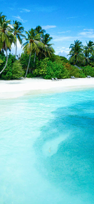 Beautiful tropical beach scenery