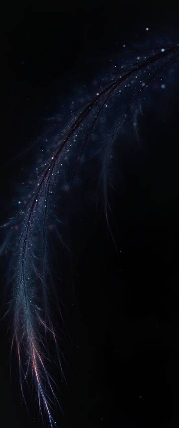 Abstract dark feather wallpaper with brilliant shine