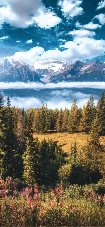 Magnificent mountains above the sea of clouds