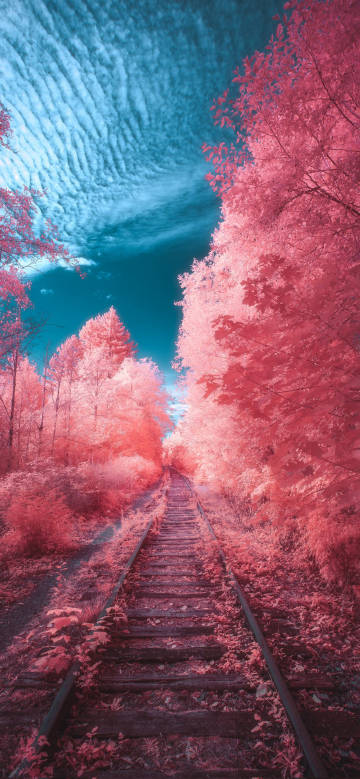 Whimsical pink railroad tracks