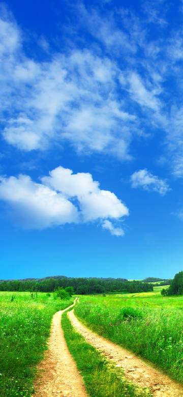Path amidst blue sky and green fields