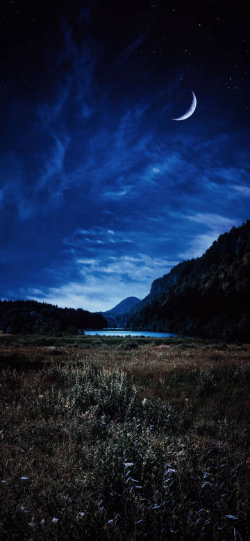 Beautiful night view of dark blue sky full of stars